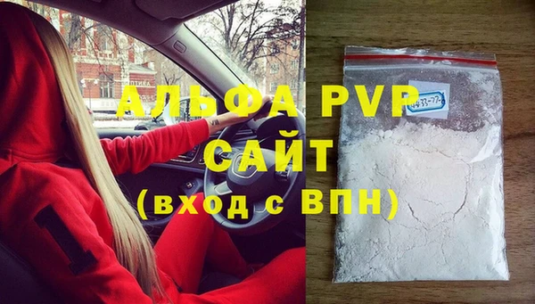амф Гусиноозёрск