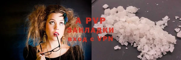 шишки Гусь-Хрустальный