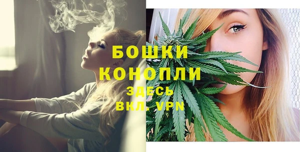 шишки Гусь-Хрустальный