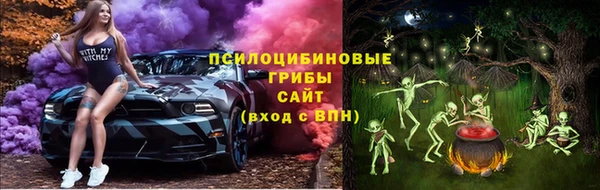 шишки Гусь-Хрустальный